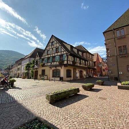 Апартаменти Coeur D'Alsace Кезерсберг Екстер'єр фото