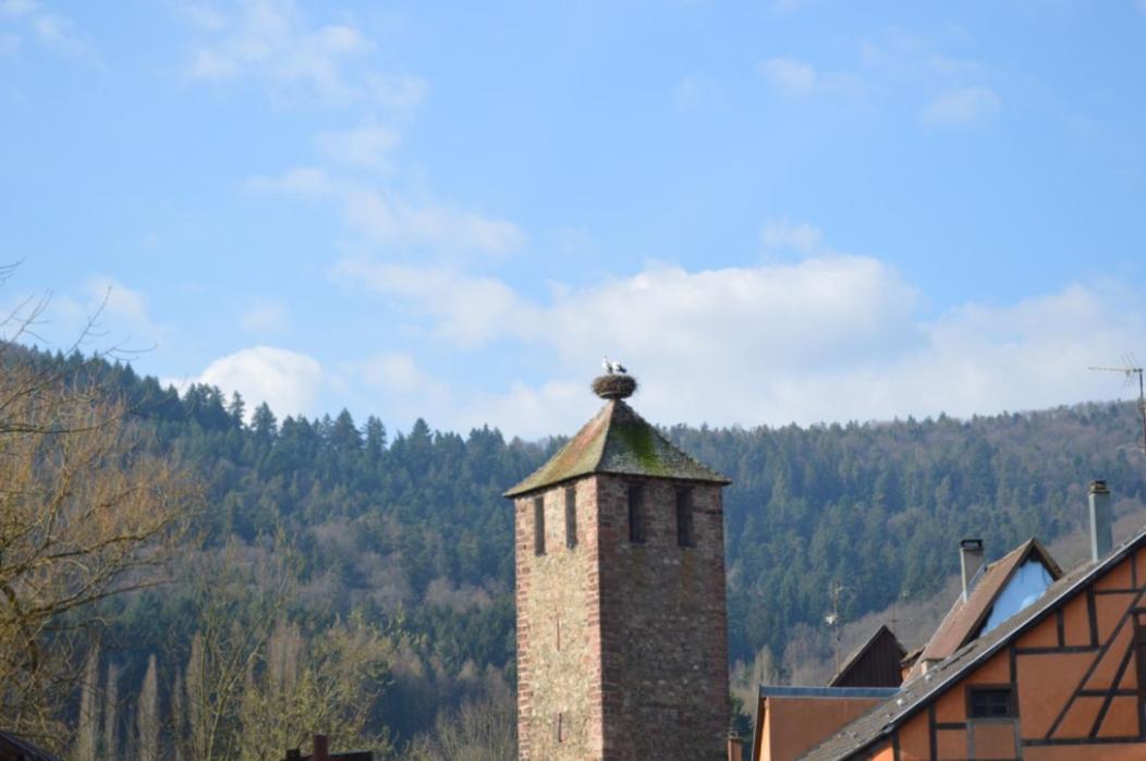 Апартаменти Coeur D'Alsace Кезерсберг Екстер'єр фото